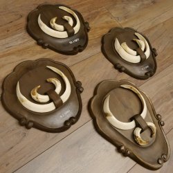 Keilerwaffen 4 er Set Wildschweinwaffen (Sus scrofa) L bis 21 cm Trophäe Keiler Gewaff Trophäenschild