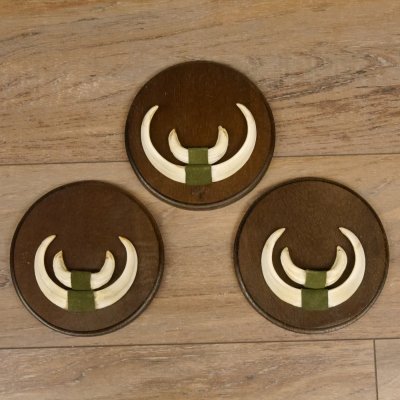Keilerwaffen 3 er Set Wildschweinwaffen (Sus scrofa) Trophäe Keiler Gewaff Trophäenschild