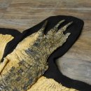 Krokodil Nilkrokodil Präparat mit Kopfpräparation mit Genehmigung zum Verkauf Länge 340 cm