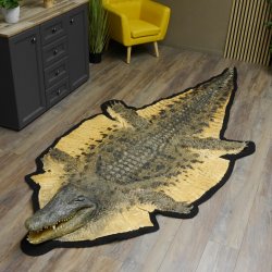 Krokodil Nilkrokodil Präparat mit Kopfpräparation mit Genehmigung zum Verkauf Länge 340 cm