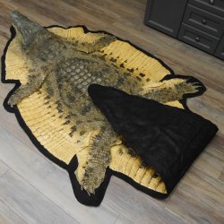 Krokodil Nilkrokodil Präparat mit Kopfpräparation mit Genehmigung zum Verkauf Länge 340 cm