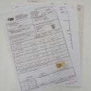 Servalkatze Vorleger Kopfpräparat mit Genehmigung zum Verkauf