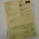 Löwenfell Fell Kopfpräparation offenes Maul Vorleger Trophäe Teppich Länge 297 cm mit Cites/VMG