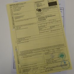 Löwenfell Fell Kopfpräparation offenes Maul Vorleger Trophäe Teppich Länge 297 cm mit Cites/VMG