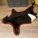 Schwarzbär Fell Vorleger mit Kopfpräparation Länge 200 cm mit Genehmigung zum Verkauf