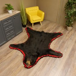 Schwarzbär Fell Vorleger mit Kopfpräparation Länge 200 cm mit Genehmigung zum Verkauf