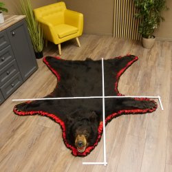 Schwarzbär Fell Vorleger mit Kopfpräparation Länge 200 cm mit Genehmigung zum Verkauf