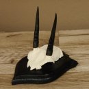 Steinböckchen Antilope Schädeltrophäe HL 9,2 cm Afrika Jagdtrophäe Trophäenschild