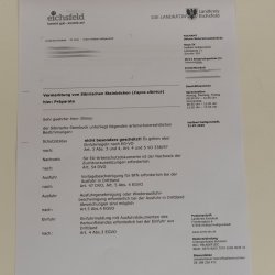Sibirischer Steinbock Kopfpräparat Kopf Schulter Präparat HL 104 cm mit Herkunftsnachweis