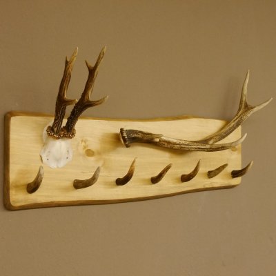 Geweih Garderobe mit 7 Haken aus Hirschspitzen auf Holzbrett Rehgeweih Rothirsch Stange Wandgarderobe Unikat 27.8.110