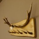 Geweih Garderobe mit 7 Haken aus Hirschspitzen auf Holzbrett Rehgeweih Rothirsch Stange Wandgarderobe Unikat 27.8.110