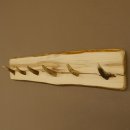 Geweih Garderobe mit 6 Haken aus Hirschspitzen auf Holzbrett kleine Wandgarderobe Unikat 27.8.111