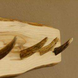 Geweih Garderobe mit 6 Haken aus Hirschspitzen auf Holzbrett kleine Wandgarderobe Unikat 27.8.111