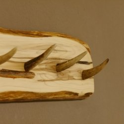 Geweih Garderobe mit 6 Haken aus Hirschspitzen auf Holzbrett kleine Wandgarderobe Unikat 27.8.112