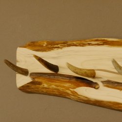 Geweih Garderobe mit 6 Haken aus Hirschspitzen auf Holzbrett kleine Wandgarderobe Unikat 27.8.112