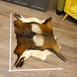 Mufflon Fell Vorleger Länge 90 cm männlich