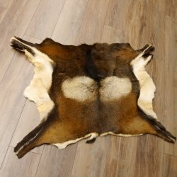 Mufflon Fell Vorleger Länge 90 cm männlich