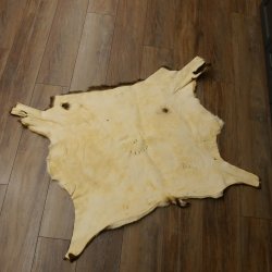 Mufflon Fell Vorleger Länge 90 cm männlich