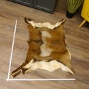 Mufflon Fell Vorleger Länge 82 cm männlich