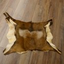 Mufflon Fell Vorleger Länge 82 cm männlich