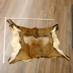 Mufflon Fell Vorleger Länge 82 cm männlich