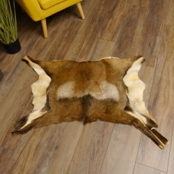 Mufflon Fell Vorleger Länge 82 cm männlich