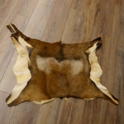 Mufflon Fell Vorleger Länge 82 cm männlich