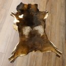 Mufflon Fell Vorleger Länge 120 cm männlich B Ware