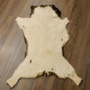 Mufflon Fell Vorleger Länge 120 cm männlich B Ware
