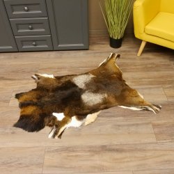 Mufflon Fell Vorleger Länge 120 cm männlich B Ware