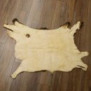 Mufflon Fell Vorleger Länge 80 cm männlich B Ware 87.17.8