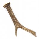 Rehstange Länge 17 cm echte Abwurfstange Reh Geweihestange Stange Rehgehörn Gehörn 14.1.282