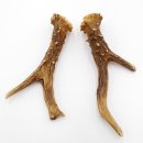 Rehstangen Reh Geweih Paar 2 Stück Länge 14 cm 14.2.461