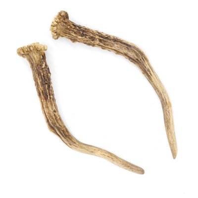 Rehstangen Reh Geweih Paar 2 Stück Länge 18 cm 14.2.469