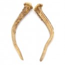 Rehstangen Reh Geweih Paar 2 Stück Länge 18 cm 14.2.469