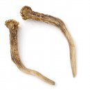 Rehstangen Reh Geweih Paar 2 Stück Länge 18 cm 14.2.469