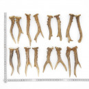 Rehstangen 8 Paar Stangen L 15-18 cm für Bastler...