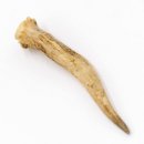 Rehstange Länge 12 cm Reh Geweihestange Stange...