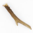 Rehstange Länge 16 cm Reh Geweihestange Stange Rehgehörn Gehörn 14.1.285