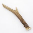Rehstange Länge 16 cm Reh Geweihestange Stange Rehgehörn Gehörn 14.1.285