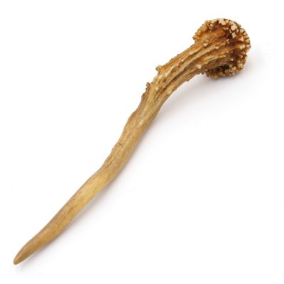 Rehstange Länge 17 cm Reh Geweihestange Stange Rehgehörn Gehörn 14.1.286