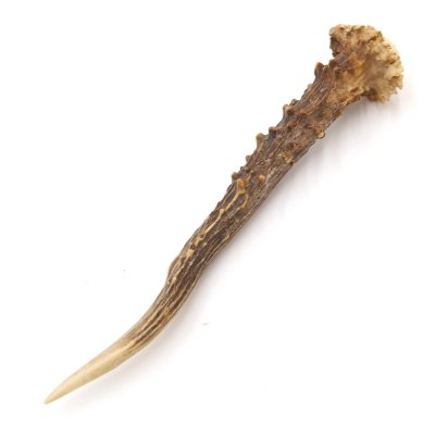 Rehstange Länge 17 cm Reh Geweihestange Stange Rehgehörn Gehörn 14.1.289