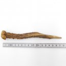 Rehstange Länge 17 cm Reh Geweihestange Stange...