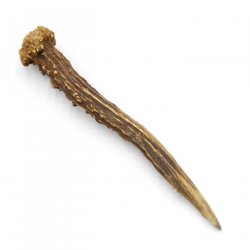 Rehstange Länge 17 cm Reh Geweihestange Stange Rehgehörn Gehörn 14.1.292