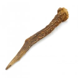 Rehstange Länge 17 cm Reh Geweihestange Stange Rehgehörn Gehörn 14.1.292