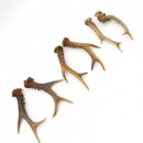 Rehstangen 3 Paar Stangen L 17-22 cm für Bastler Gehörne Rehgeweihe Geweih Stange 14.3.142