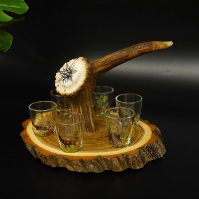 Schnaps Anbieter auf Akazieschild Schnapsbrett H17 cm Rothirsch Stange Griff mit 6 Stück Gläser bunt Jagdmotiv Tier Motiv 27.7.3.7