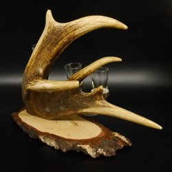 Schnaps Anbieter Birkeschild Schnapsbrett Rothirschgeweih 3x hornförmige Gläser  27.7.6.28