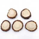 Rosen Abwurf-Rose Hirsch Geweihstange Rothirsch Geweih basteln schnitzen Schmuck