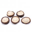 Rosen Abwurf-Rose Hirsch Geweihstange Rothirsch Geweih basteln schnitzen Schmuck